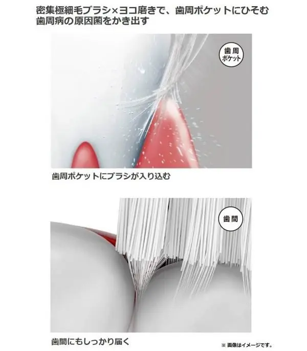 616c37xcX0L._SL1179_.jpg Panasonic Doltz Electric Toothbrush - الصورة 5