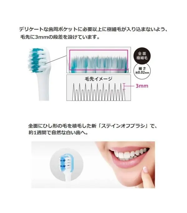 61aLYSuhOlL._SL1008_.jpg Panasonic Doltz Electric Toothbrush - الصورة 6