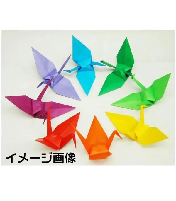 512dDHTLcYL._SL1020_.jpg Toyo Economical Origami, 23 Colors, 300 Pieces - الصورة 7