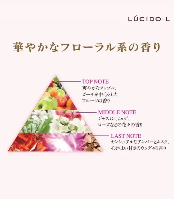 ⁦زيت أرجان لمعالجة الشعر⁩ - الصورة ⁦4⁩