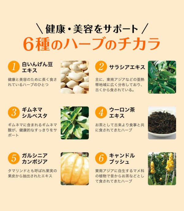 ⁦حبوب SVELTY Pakkun Yeast لإنقاص الوزن⁩ - الصورة ⁦4⁩