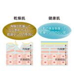 جهاز محاربة التجاعيد وتنظيف البشرة Hitachi - الصورة 4