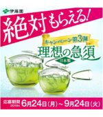 ⁦شاي Itoen ماتشا⁩ - الصورة ⁦3⁩