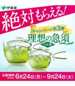 شاي أخضر محمص Hojicha من Itoen - الصورة 6
