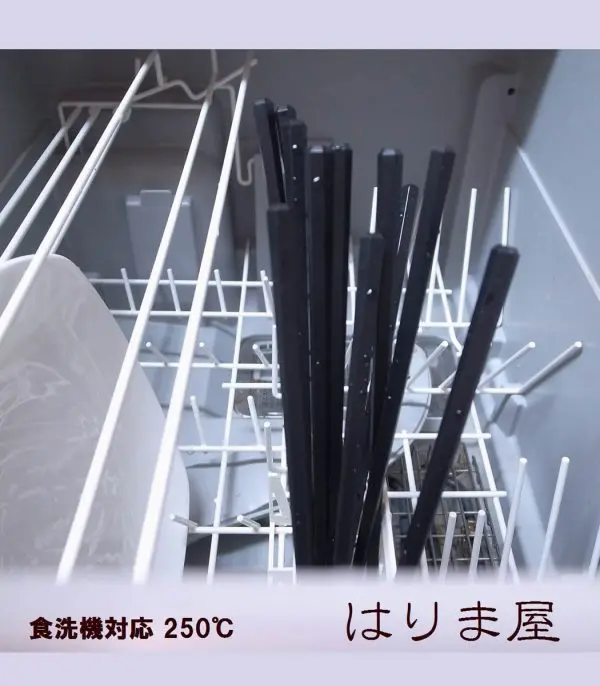 71fglB7myQL._SL1200_.jpg Non-Slip Chopsticks 10 Pairs Set - الصورة 3