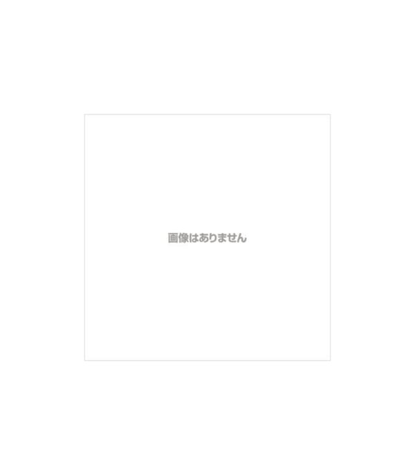 21PhTZmSMzL._AC_.jpg Pencils 2B with Eraser, Pack of 12 - الصورة 5